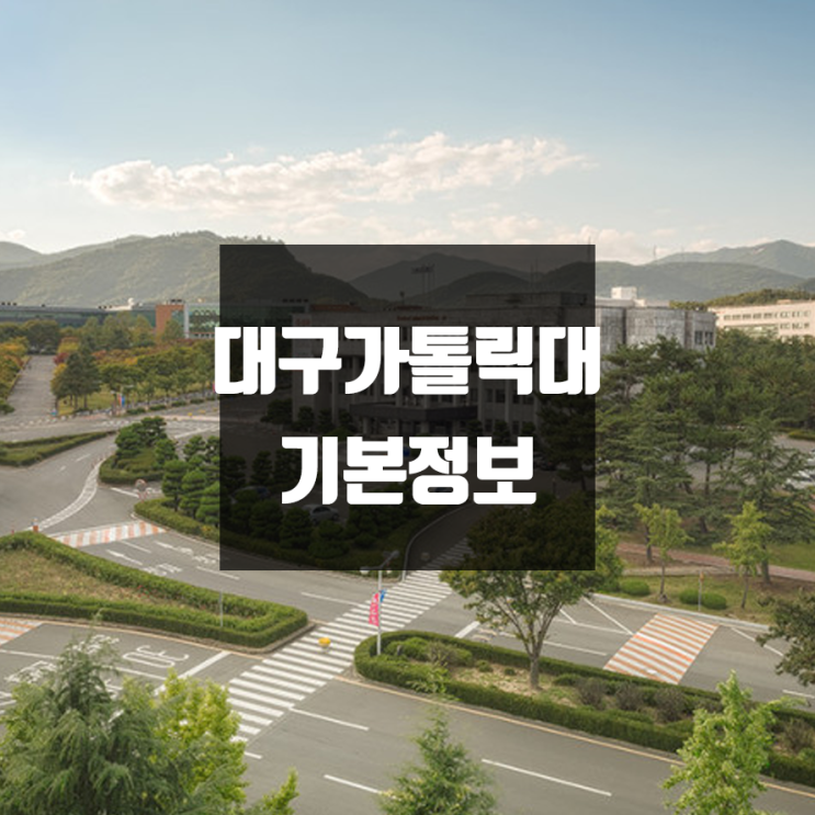 대구가톨릭대 대학정보 (학생수, 교수수, 기숙사 / 설치학과 & 전공, 수시·정시 경쟁률)