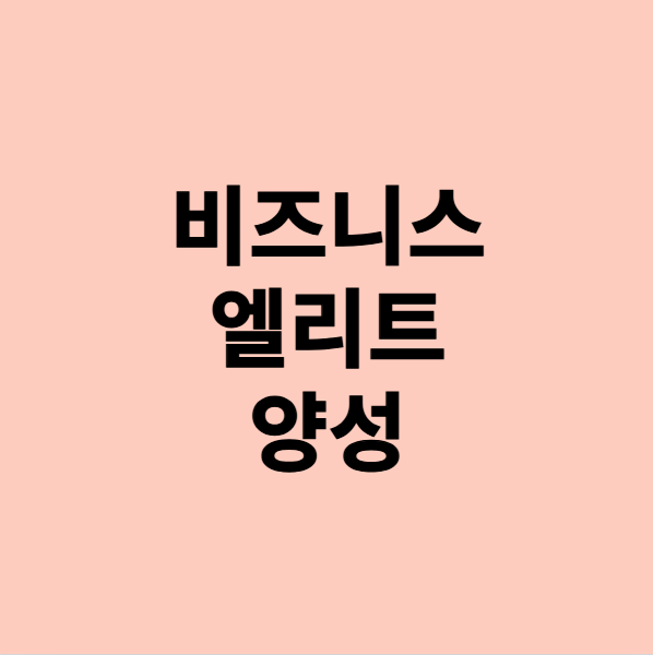  비즈니스김나지움 : 비즈니스 엘리트를 양성한다
