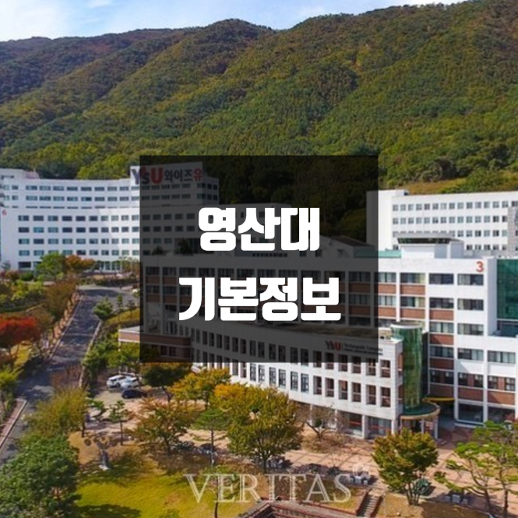영산대 양산 대학정보 (학생수, 교수수, 기숙사 / 설치학과 & 전공, 수시·정시 경쟁률)
