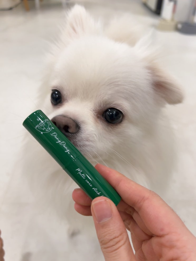  [ 펫인가든 ] 댕댕 멀티 케어 스틱밤 추천 부드럽게 발리고 향료무첨가 강아지 보습밤, 강아지 보습, 강아지 로션추천