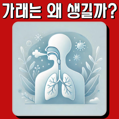 가래가 생기는 이유와 건강 신호: 놓치면 안 되는 증상들