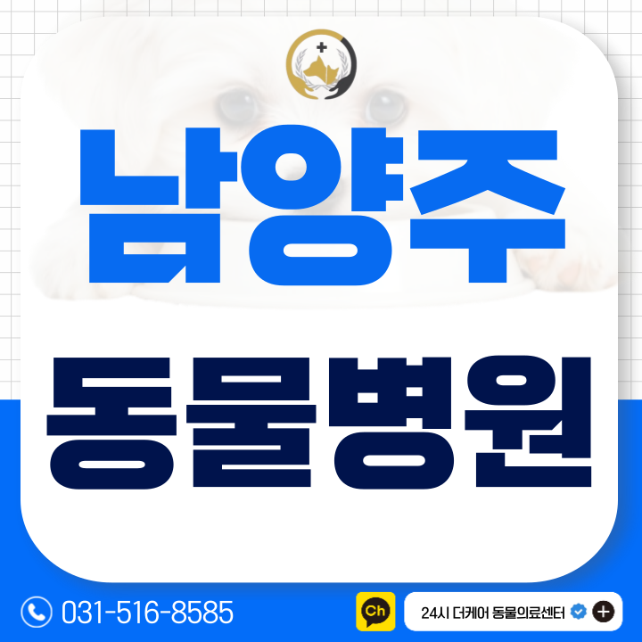  남양주 동물병원 강아지 당뇨병 원인 대처 방법