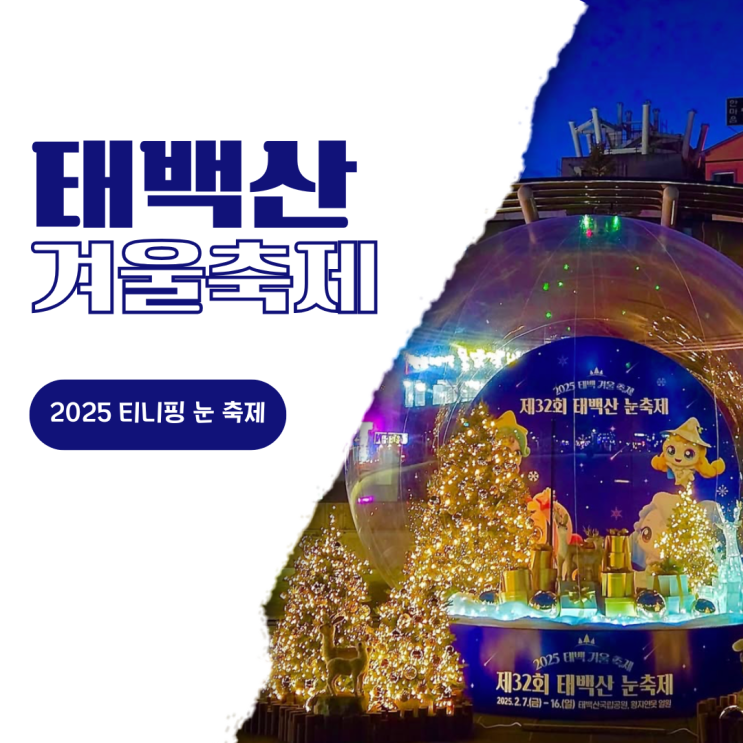 태백산 눈축제 티니핑 가수 라인업 <b>이무진</b>, 정동원, 박군 <b>공연</b>