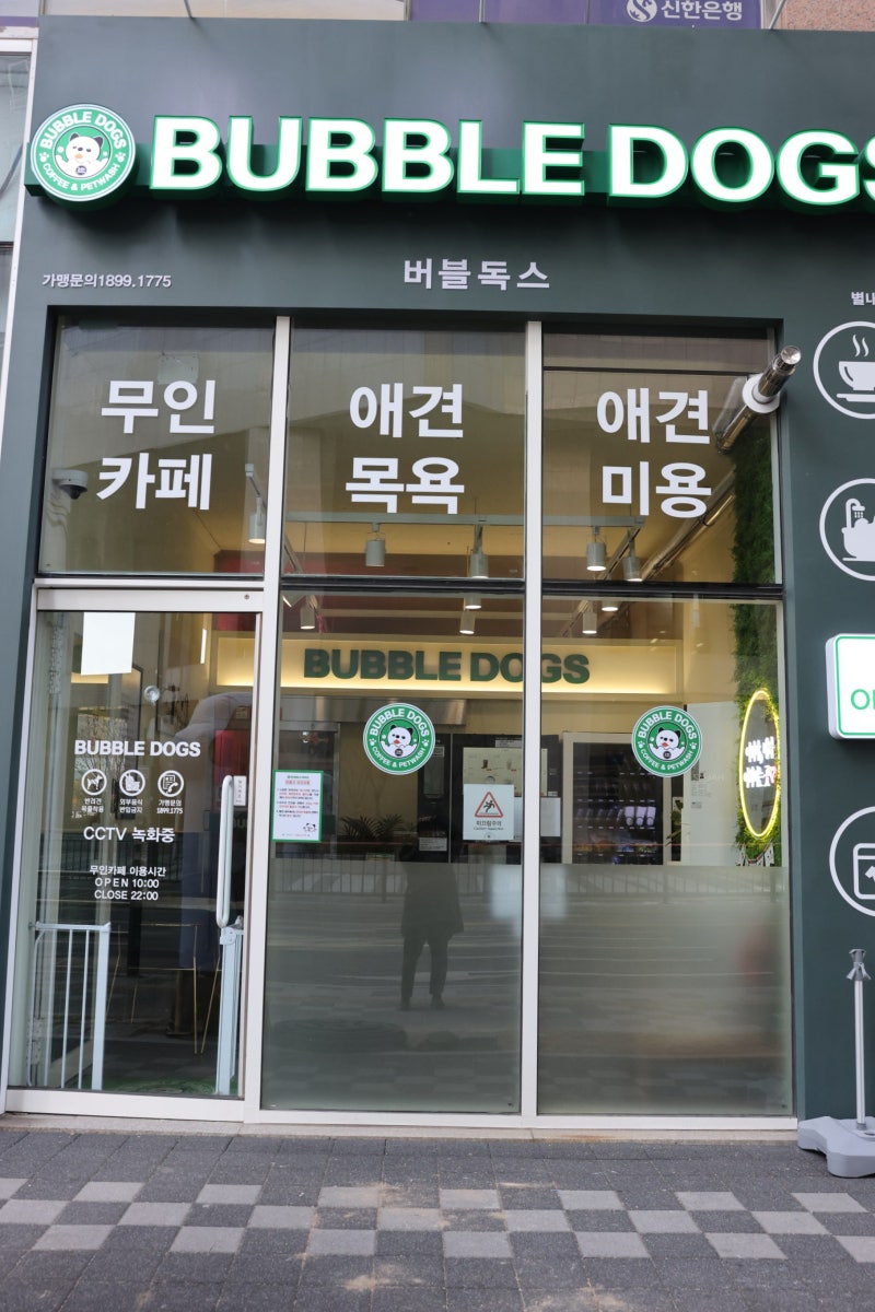 사진 5