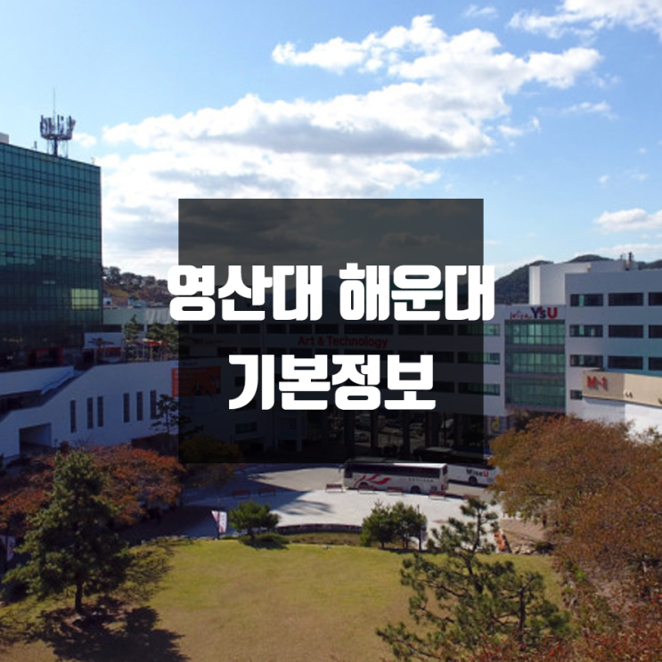 영산대 해운대 대학정보(학생수, 교수수, 기숙사 / 설치학과 & 전공, 수시·정시 경쟁률)