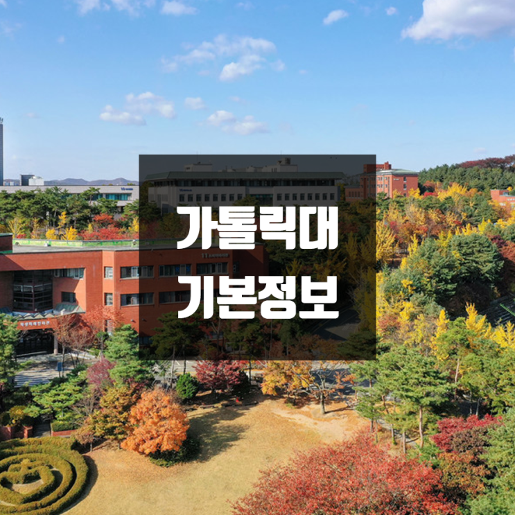 가톨릭대 대학정보 (학생수, 교수수, 기숙사 / 설치학과 & 전공, 수시·정시 경쟁률)