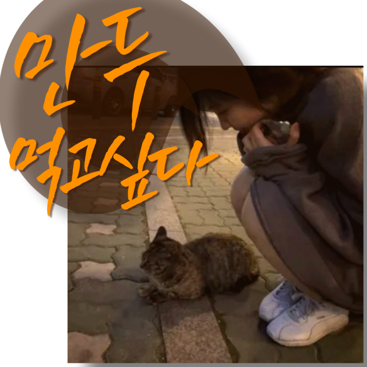  만두 찌듯 마음 찌는 법