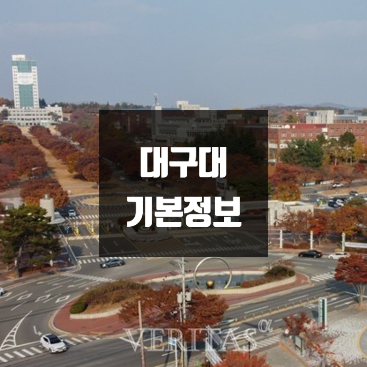 대구대 대학정보 (학생수, 교수수, 기숙사 / 설치학과 & 전공, 수시·정시 경쟁률)