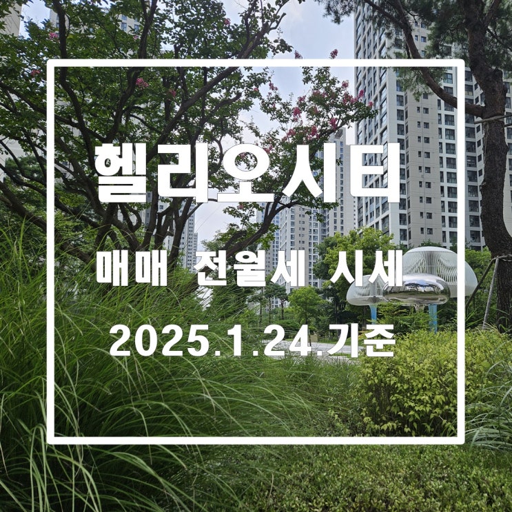  설 연휴 전 헬리오시티 매매 전월세 시세 2025년1월25일 기준