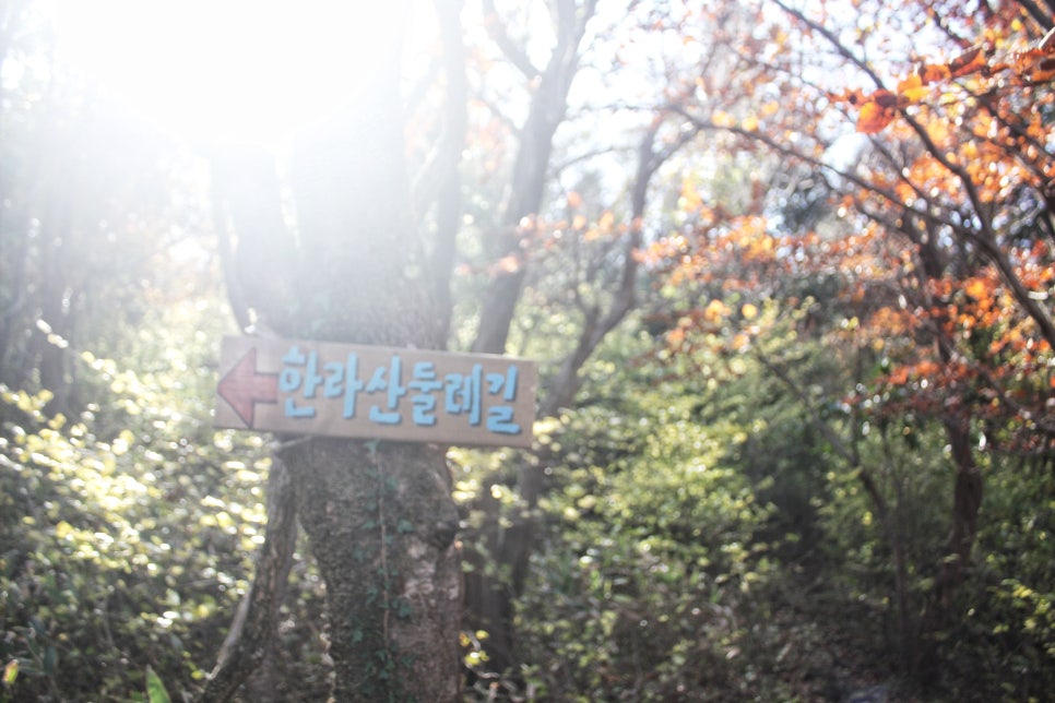 민모루오름 사진 4