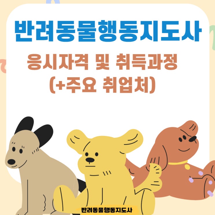 반려동물행동지도사 응시자격 및 취득과정(+주요 취업처) 반려동물행동지도사 응시자격 및 취득과정(+주요 취업처)