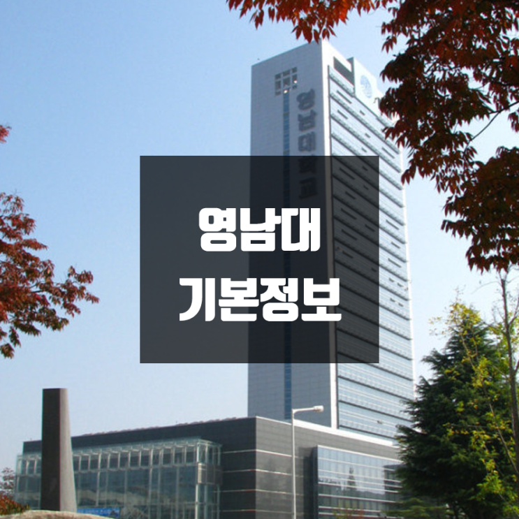 영남대 대학정보 (학생수, 교수수, 기숙사 / 설치학과 & 전공, 수시·정시 경쟁률)