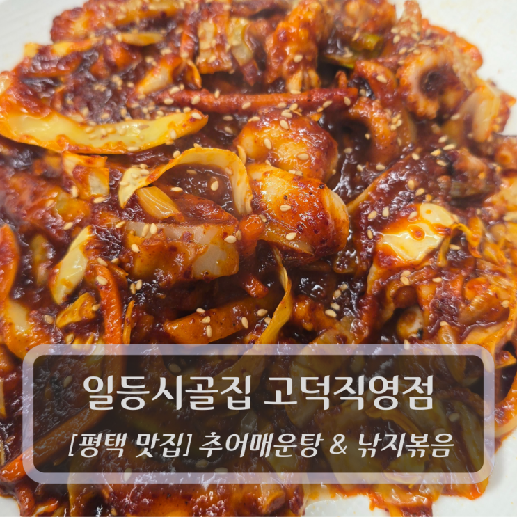  평택 맛집 :: 일등시골집 고덕직영점 - 낚지볶음 맛집