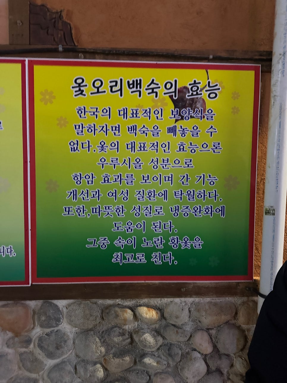 전통홍어 사진 3