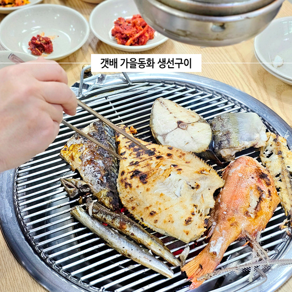  강원도 속초 생선구이 맛집 중앙시장 아침식사 아바이마을 근처 갯배가을동화