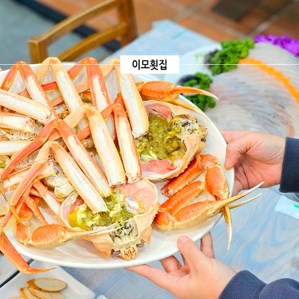  강원도 속초 맛집 이모회집 횟집 먹거리 대게 물회 속초 맛집 내돈내산 갈만한곳