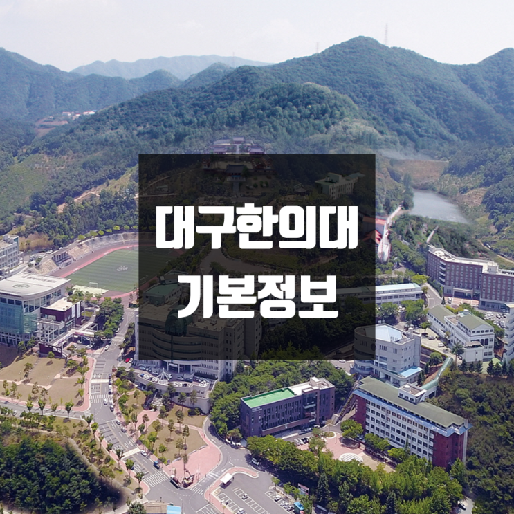  대구한의대 대학정보 (학생수, 교수수, 기숙사 / 설치학과 & 전공, 수시·정시 경쟁률)