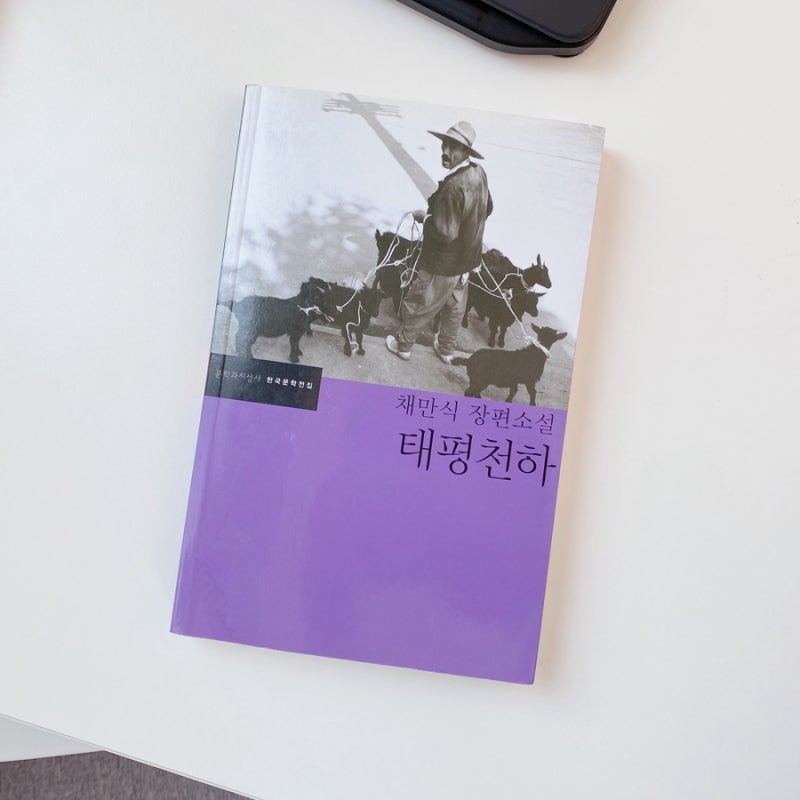 사진 8