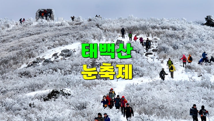 태백 겨울 눈꽃축제 · 2025 태백산 눈축제 기본정보 (초대가수 별빛 페스타 황지연못 티니핑 주차) 태백 겨울 눈꽃축제 · 2025 태백산 눈축제 기본정보 (초대가수 별빛 페스타 황지연못 티니핑 주차)
