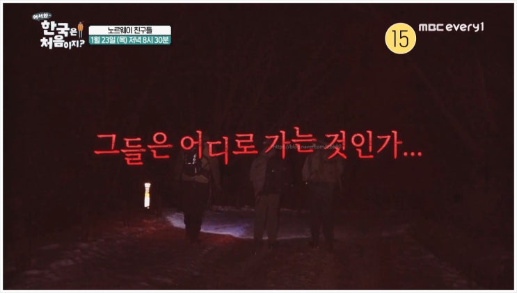  어서와 한국은 처음이지 지리산 집라인 노르웨이 친구들의 눈물 체험 물짜장 깐풍기 붂음밥 탕수육 평가는