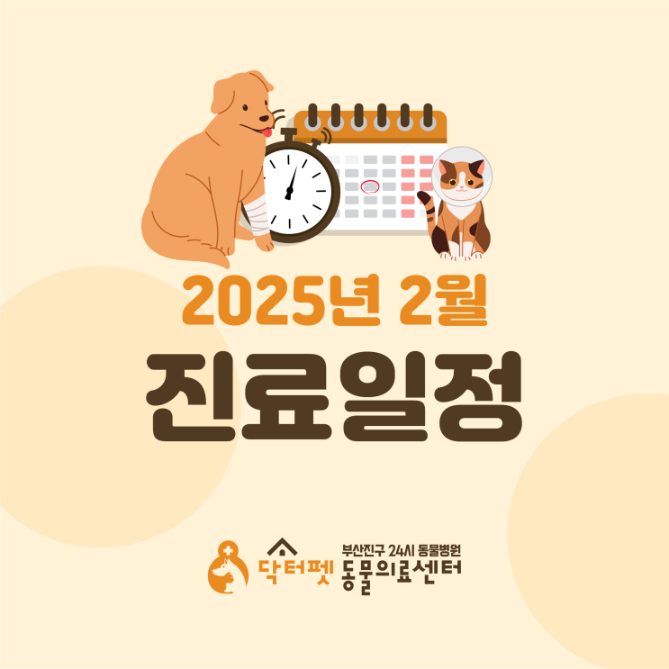  닥터펫동물의료센터 2025년 2월 진료 일정 및 스케줄 표 안내 (부산 24시 동물병원)