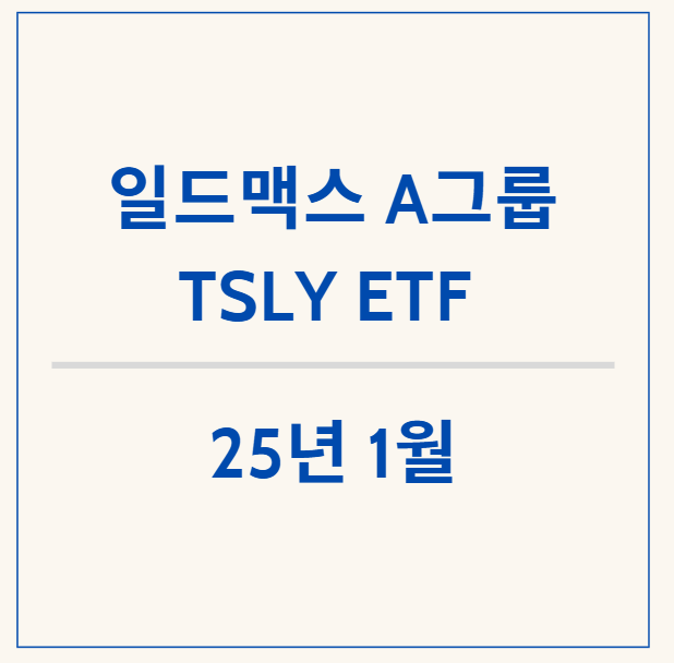 초 고배당 일드맥스 TSLY ETF, 1월 배당금 확정 공시