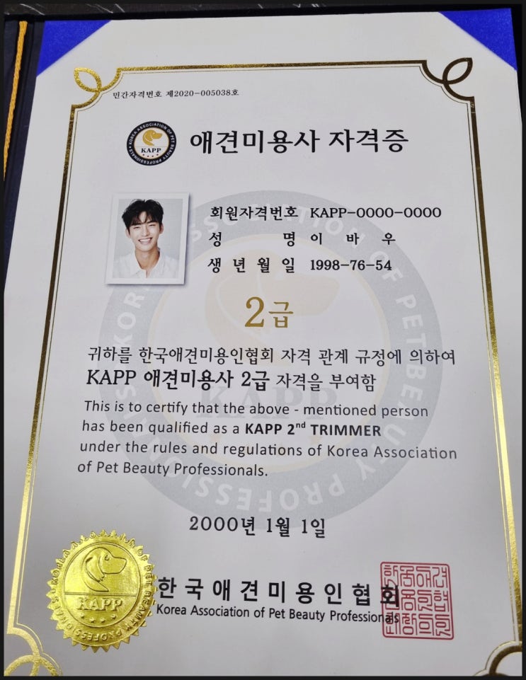  애견미용자격증 2급 이제 알아보기 시작한 분들 필독