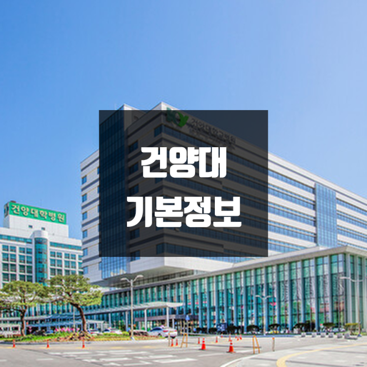  건양대 대전 대학정보 (학생수, 교수수, 기숙사 / 설치학과 & 전공, 수시·정시 경쟁률)