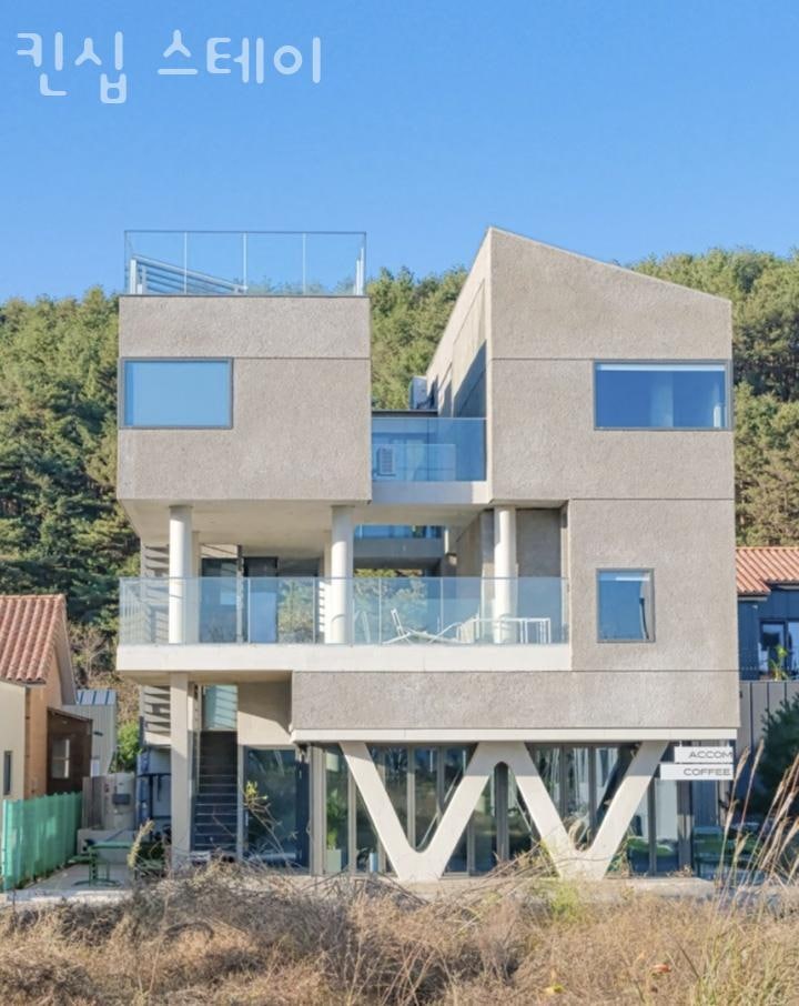 사진 2