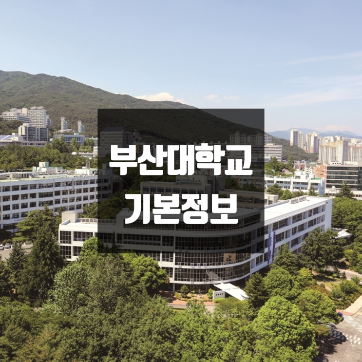  부산대 대학정보 (학생수, 교수수, 기숙사 / 설치학과 & 전공, 수시·정시 경쟁률)