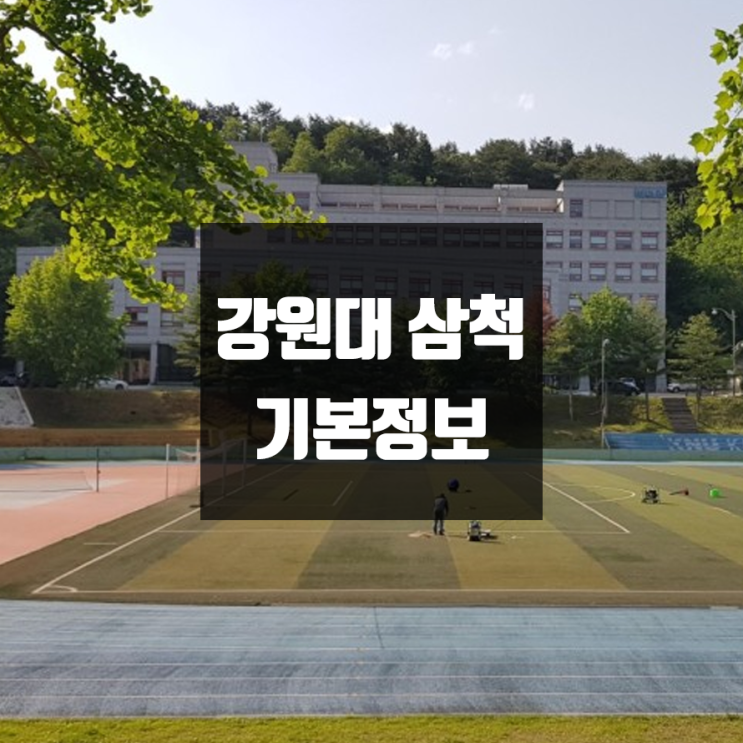  강원대 삼척 대학정보 (학생수, 교수수, 기숙사 / 설치학과 & 전공, 수시·정시 경쟁률)