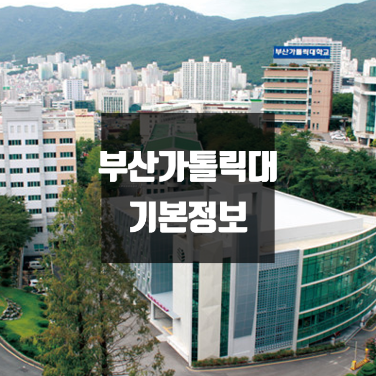 부산가톨릭대 대학정보 (학생수, 교수수, 기숙사 / 설치학과 & 전공, 수시·정시 경쟁률)