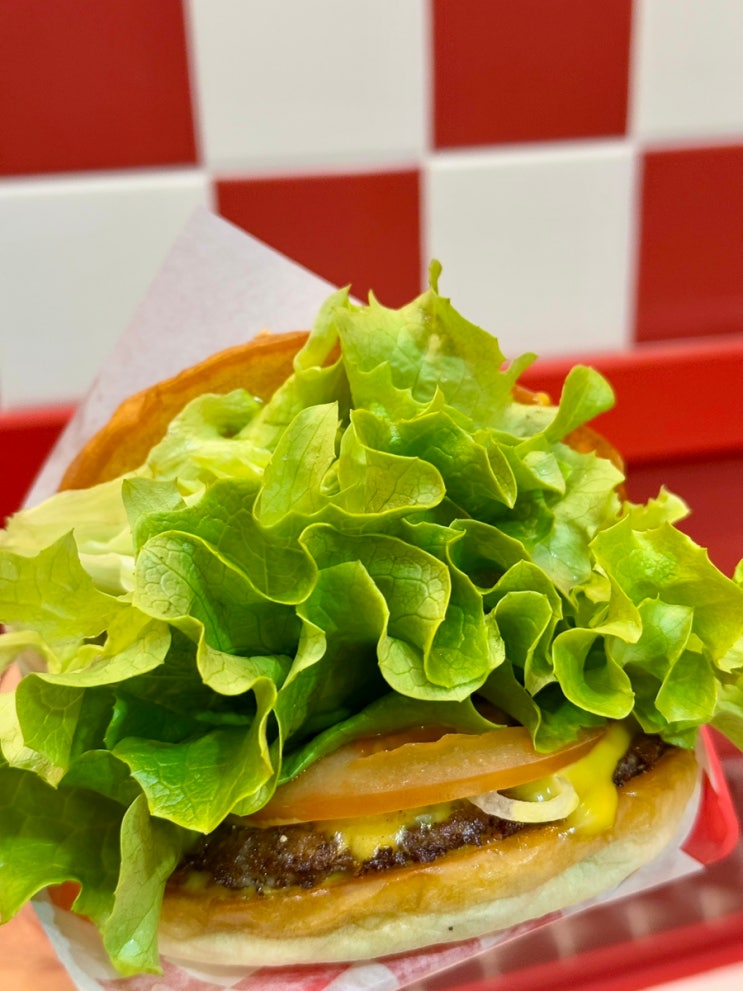  속초 해수욕장 수제버거 맛집 왓더버거 (전체 메뉴, 가격, 주차정보)