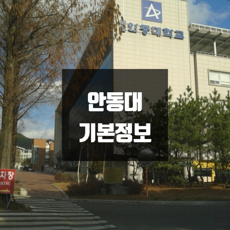  안동대 대학정보 (학생수, 교수수, 기숙사 / 설치학과 & 전공, 수시·정시 경쟁률)