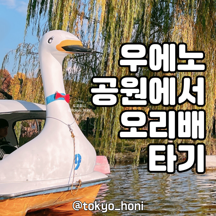  우에노 공원 현지인들의 데이트 코스! 오리배 나룻배 타는 방법