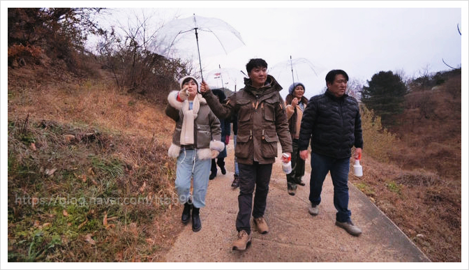  박원숙의같이삽시다 멧돼지 출몰 소식과 신계숙 이순실의 북한식 요리 이야기