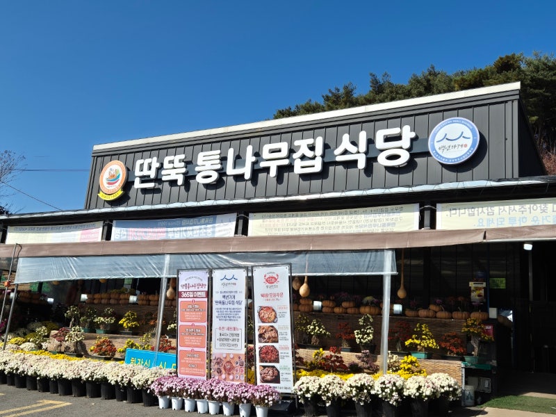 사진 2