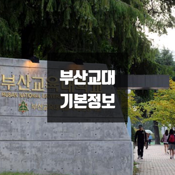 부산교대 대학정보 (학생수, 교수수, 기숙사 / 설치학과 & 전공, 수시·정시 경쟁률)