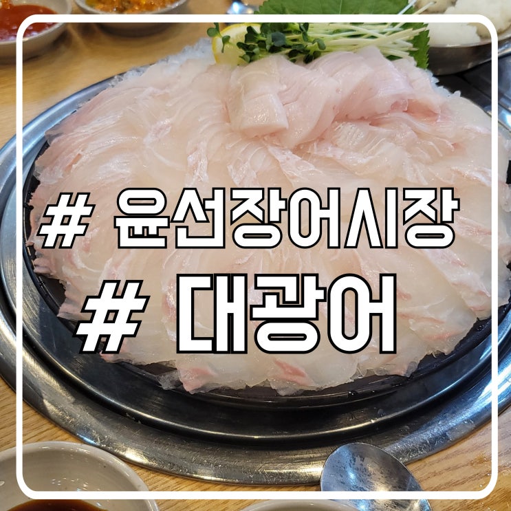  안산 고잔동 여행 중 가기 좋은 방어 횟집 안산맛집 윤선장어시장