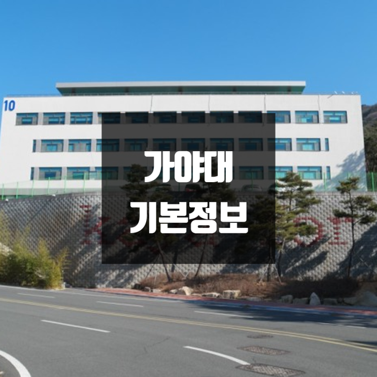  가야대 대학정보 (학생수, 교수수, 기숙사 / 설치학과 & 전공, 수시·정시 경쟁률)