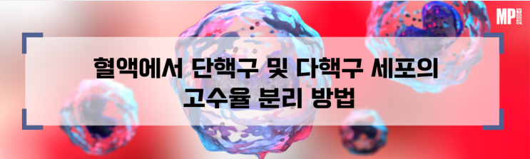  혈액에서 단핵구 및 다핵구 세포의 고수율 분리 방법
