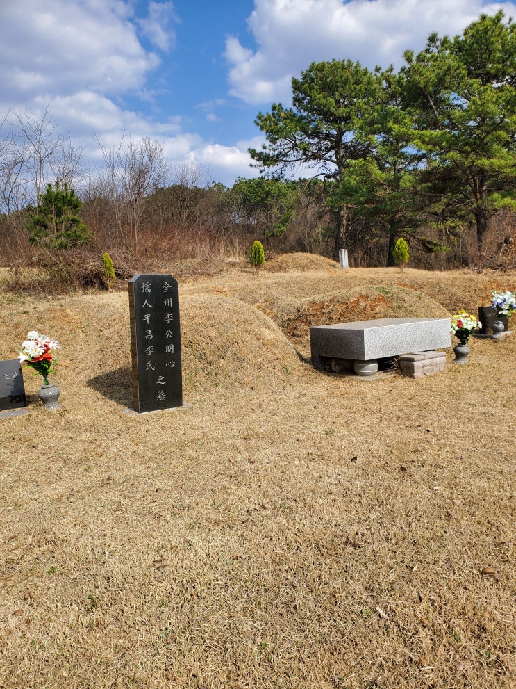  충남벌초부터 충남사초까지! 믿고 맡기는 충남산소공사 전문 서비스