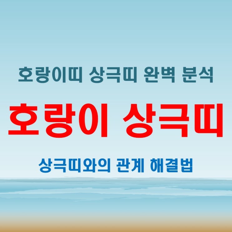  2025년 호랑이띠 궁합 완벽 가이드, 년생별 나이와 상극띠 꿀팁 대방출