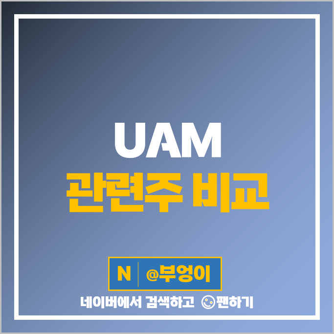 UAM 관련주 KT 현대자동차 제주항공 카카오 주가 남성 한국카본 주식 UAM 관련주 KT 현대자동차 제주항공 카카오 주가 남성 한국카본 주식