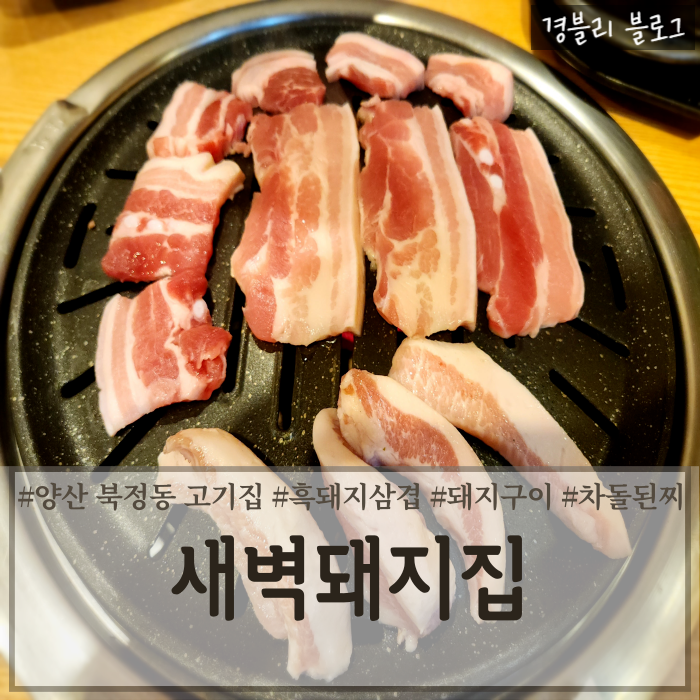  양산 북정동 맛집 북정가성비고기집 돼지고기 맛집 '새벽돼지집'