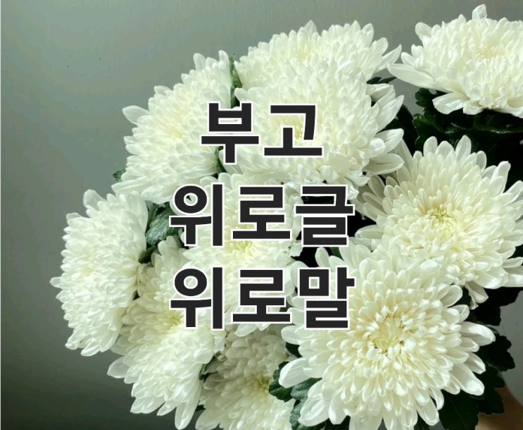  부고 위로글과 위로말 : 상황별 적절한 표현과 예절