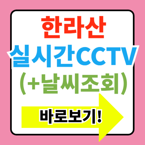  한라산 cctv 실시간 보기 조회 및 확인(+등산 전 준비사항 탐방로별 CCTV위치 활용법)
