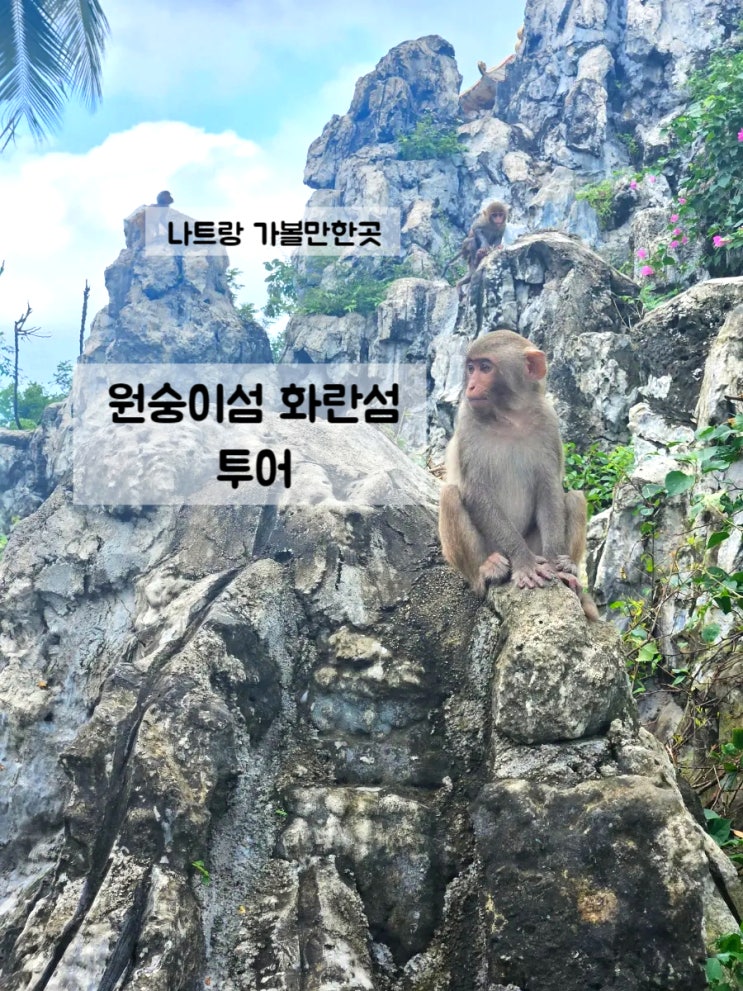  나트랑 가볼만한곳 원숭이섬 화란섬 투어