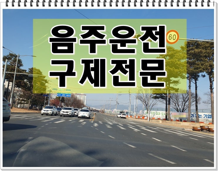  음주운전면허정지 반성문 그 밖의 자료에 대해