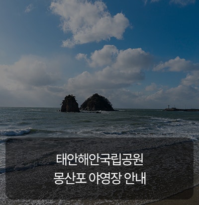 바다와 숲의 만남, 태안해안국립공원 몽산포 야영장 가이드